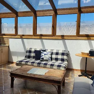  Apartament Sunflower And